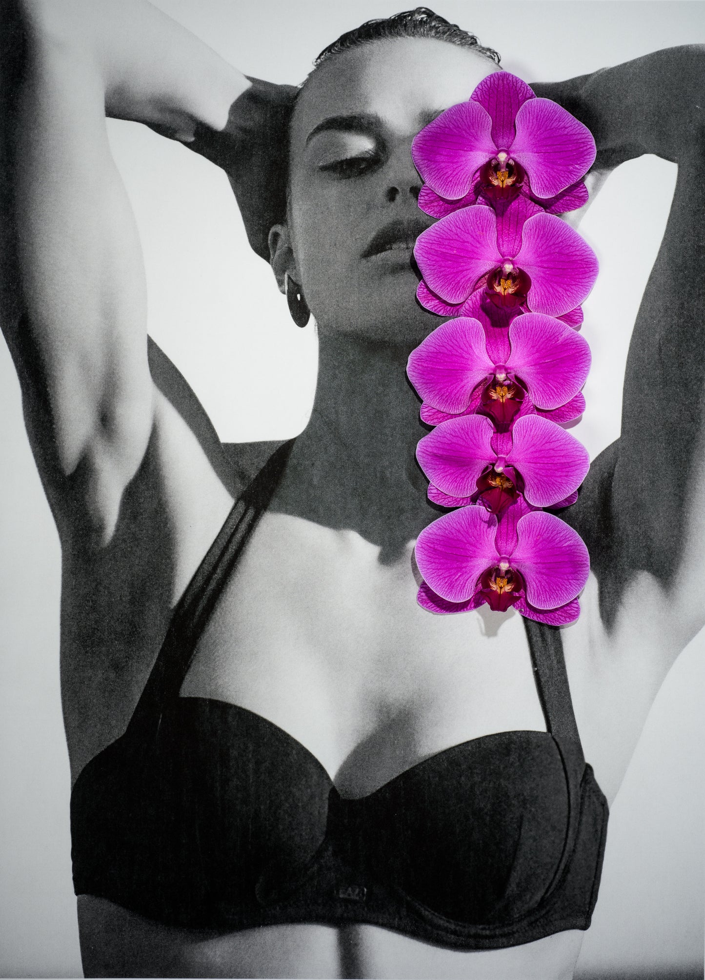 Black Bathing Suit and Pink Orchid
