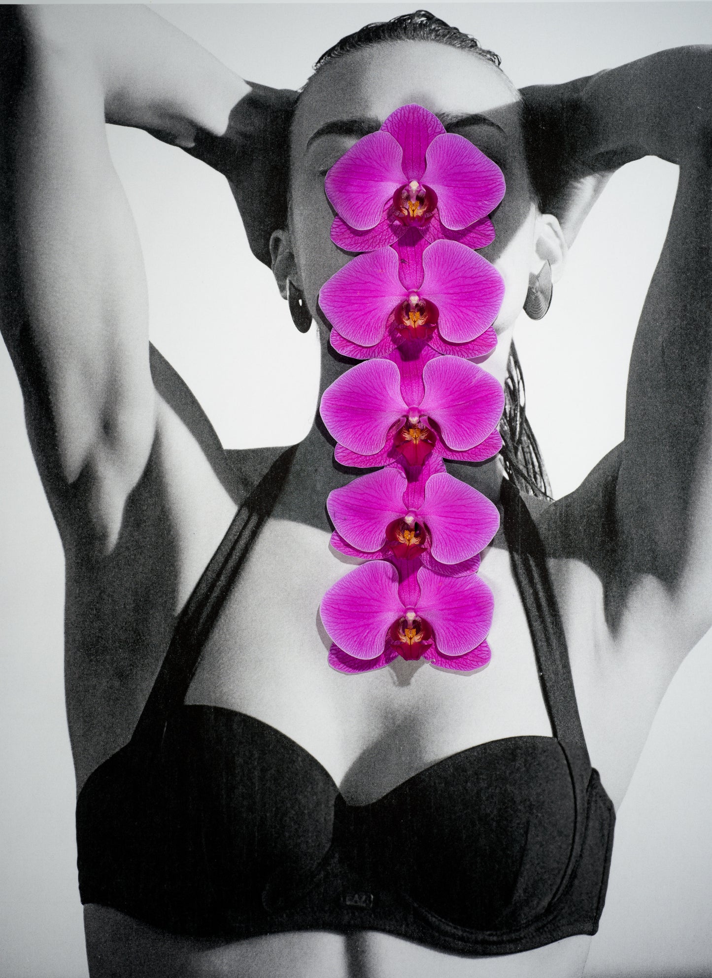 Black Bathing Suit and Pink Orchid #2