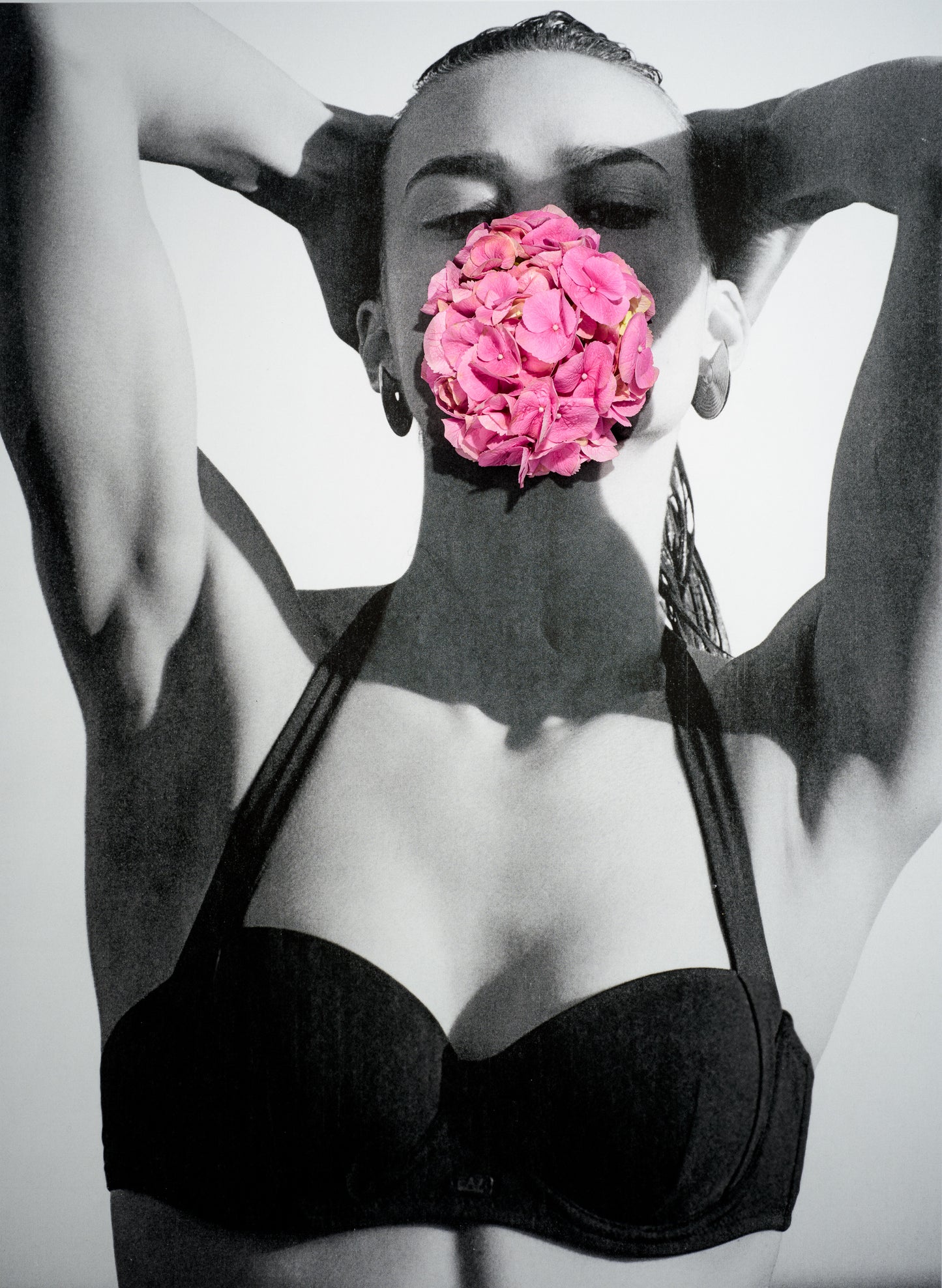 Black Bathing Suit and Pink Hydrangea