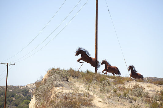 Horse Crossing #2