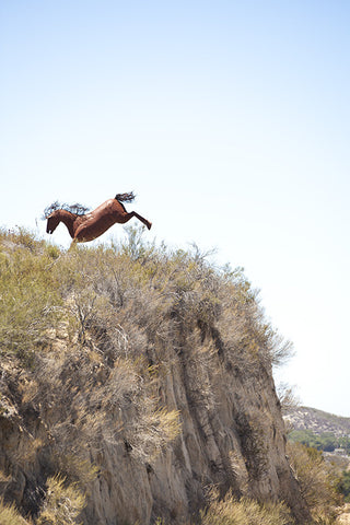Jumping Horse